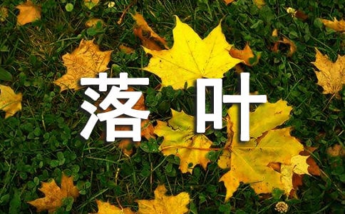 2024年失落叶的语录锦集35句