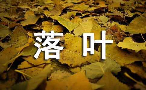 失落叶的语录集锦45句