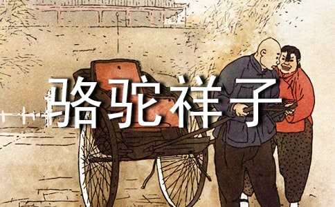 《骆驼祥子》读后感优选(14篇)