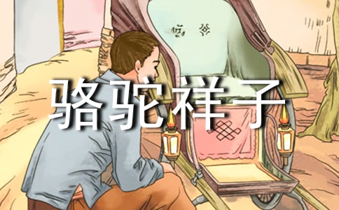 骆驼祥子最新的读后感