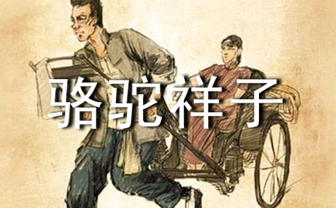 《骆驼祥子》读后感-骆驼祥子的悲哀