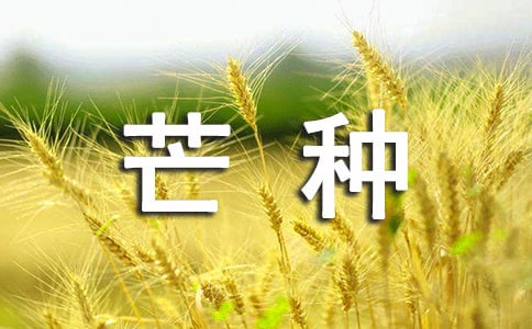 â�ֽ���ף�������10ƪ��