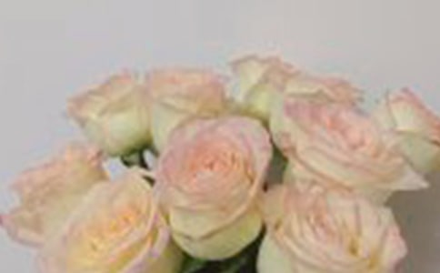 ����õ�廨��˵˵