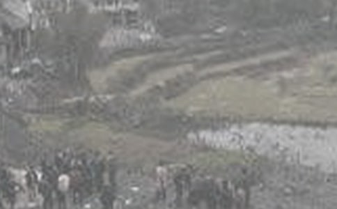 ú��ɾ�רҵʵϰ����