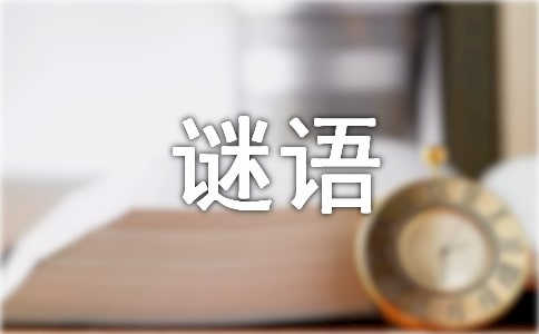 猜谜语及答案
