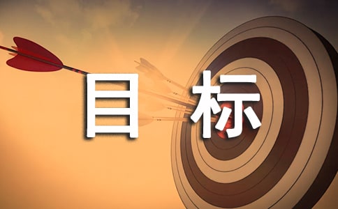 暑假个人目标社会实践报告(个人暑假社会实践活动报告)