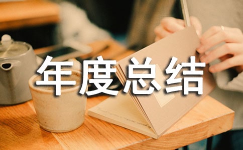 乡镇工作年度总结
