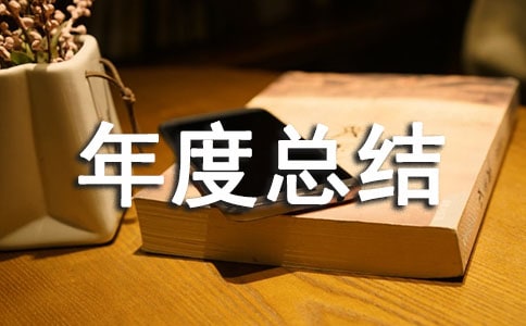 2017上半年度总结及下半年计划