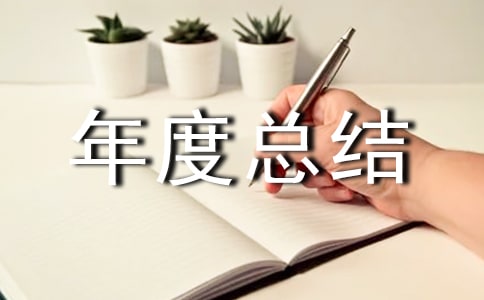 年度总结报告