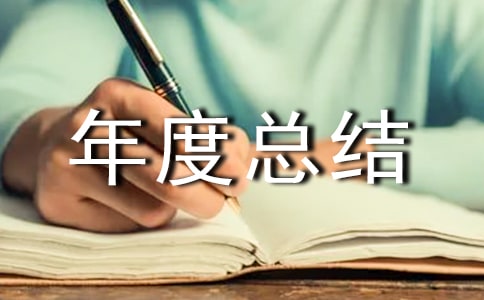 安保工作个人年度总结