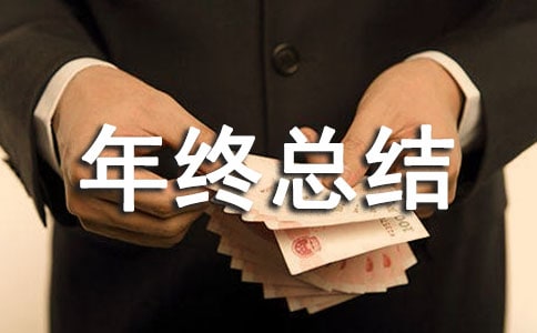 个人年终总结格式范文