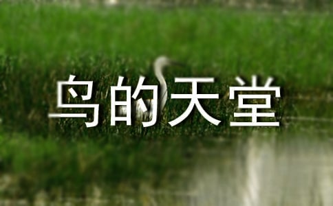 鸟的天堂教学设计大全【21篇】