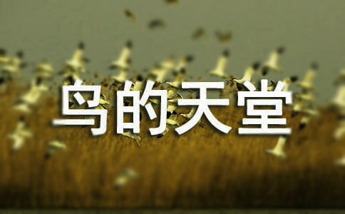 (荐)鸟的天堂教学设计21篇