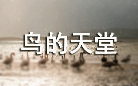《鸟的天堂》教学设计精华【27篇】