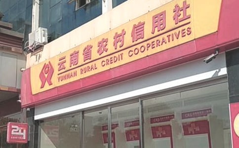农村信用社实习生年终工作总结