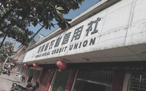 农村信用社个人工作总结(通用19篇)