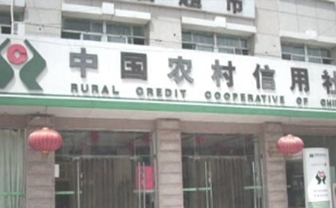 农村信用社年度工作总结7篇
