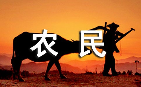 农村土地流转对农民养老保障行为影响的调查研究