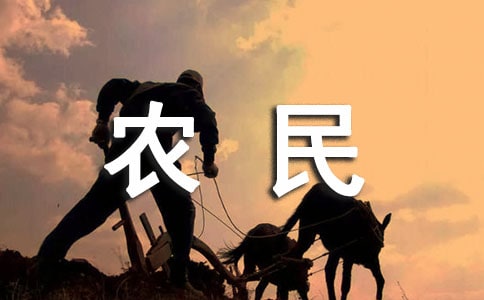 90后农民工社会融合指数低于80后