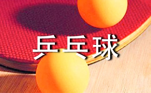 乒乓球比赛工作总结