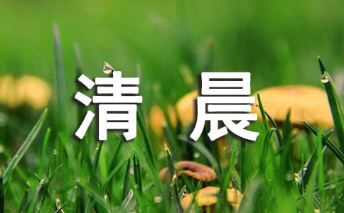 每个清晨都值得期待的说说