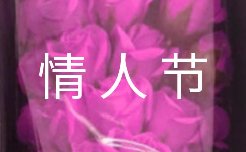 情人节的语录24句