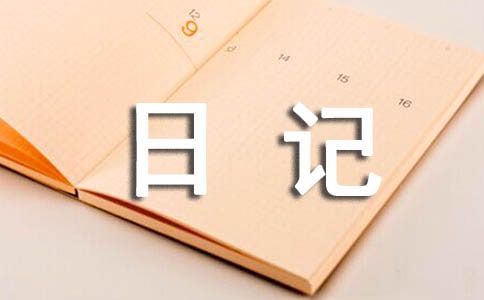 (精华)初中寒假日记