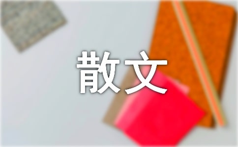皮囊语录 一本有小说质感的散文集