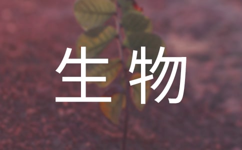 初中生物教学反思汇编14篇