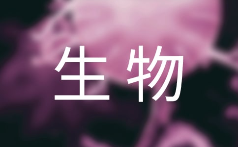 �������꼶�������ѧ��˼