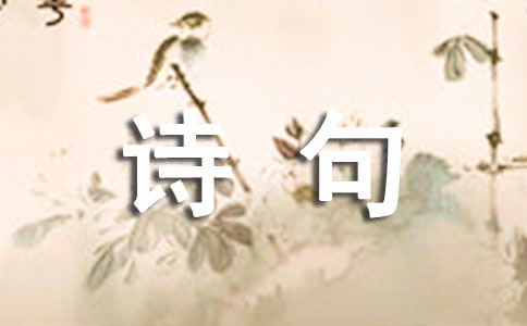 相思的诗句