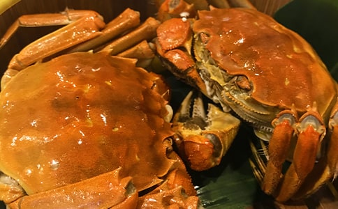 口腔溃疡吃什么食物好-口腔溃疡原因
