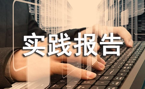 社会实践报告个人总结范文800字