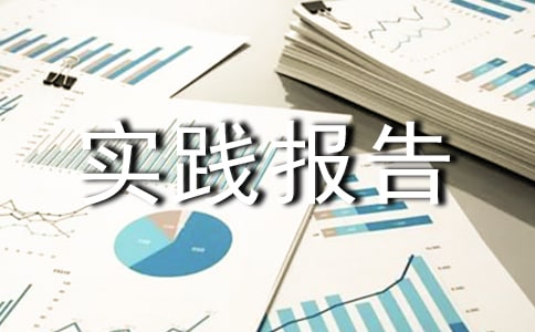 关爱老人社会实践报告