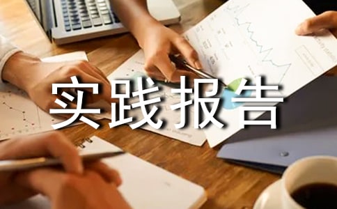 暑假社会实践报告高中