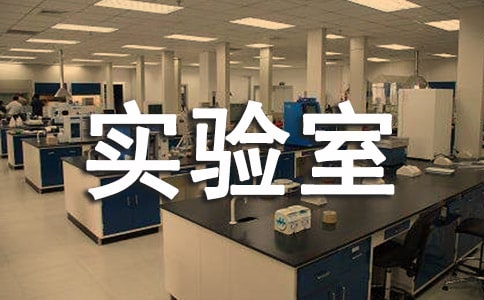 实验室年终工作总结