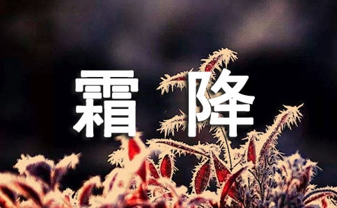 霜降经典说说