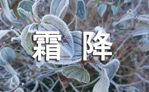 迎接霜降的走心祝福说说