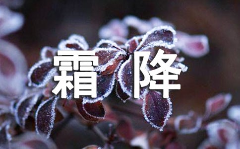 有关霜降节气的暖心说说