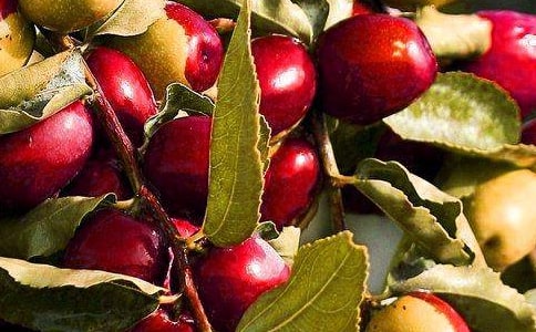 ������ο���ˮ����׬��Ǯ