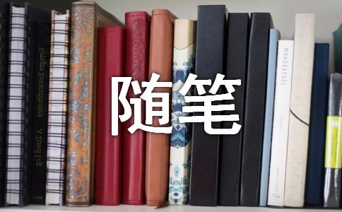 想创业没经验怎么办杂文随笔