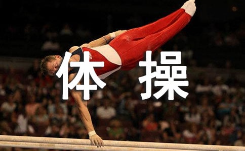 专项身体素质对体操运动员运动成绩的影响