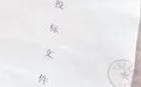 投标实习报告