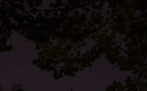 晚安说说(精选105句)
