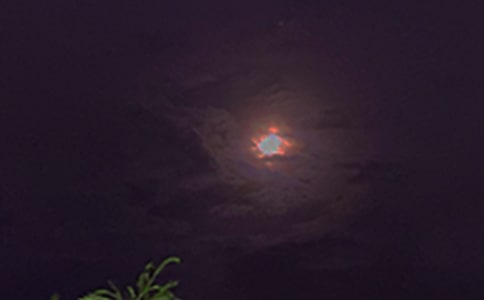 �Ƽ���������˵˵����ѡ195�䣩