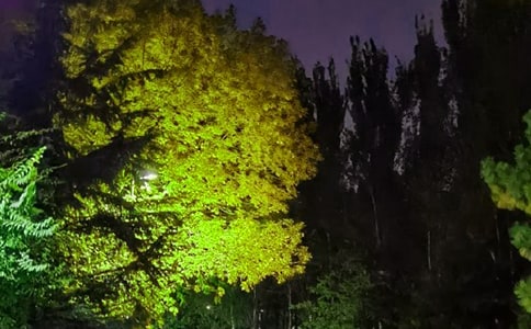 晚安说说汇总135句