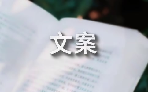 (优选)再见2023你好2024跨年倒计时文案10篇