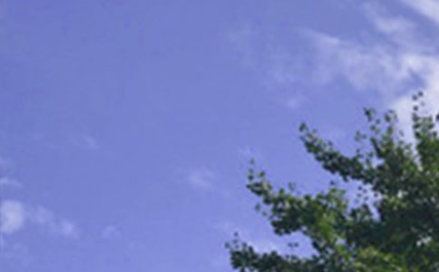 ��̵����������簲��¼����86��