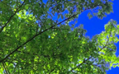 �簲��¼����50�侫ѡ