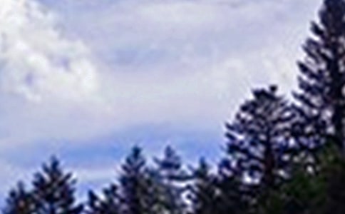 ʵ�õ����������簲��¼